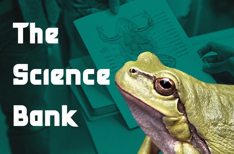 frog, frog diagram, and text reading 'The Science Bank'