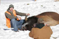 Bison Hunting - 053