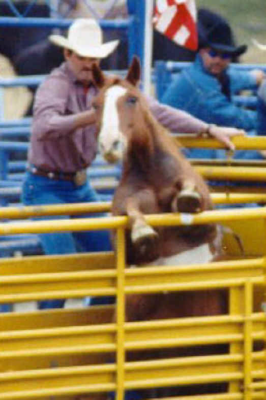 Rodeo - Horse Bucking - 02
