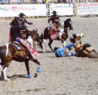 Horse Exploitation - Rodeo - Horse Bucking - 06