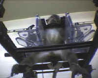 Monkey - Restraint Chair - 19