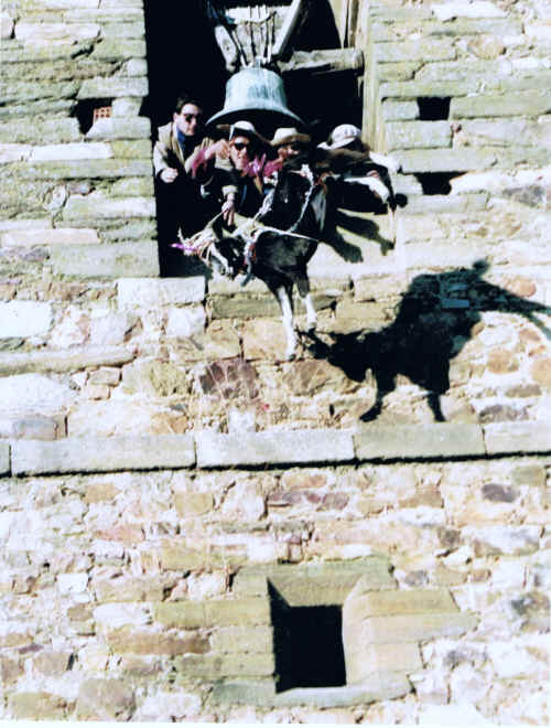 animal sacrifice
