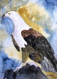 dm-eagle