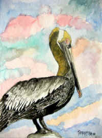 dm-pelican2