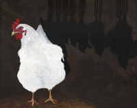 Artwork - 005 Chicken Shadow