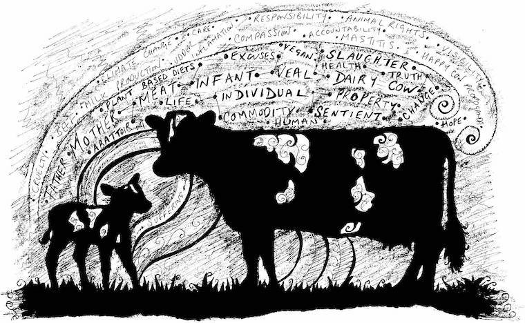 Cow and Calf