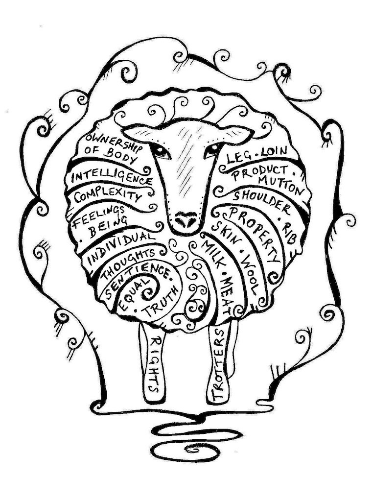 Sheep 'uses'