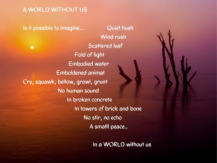a world without us