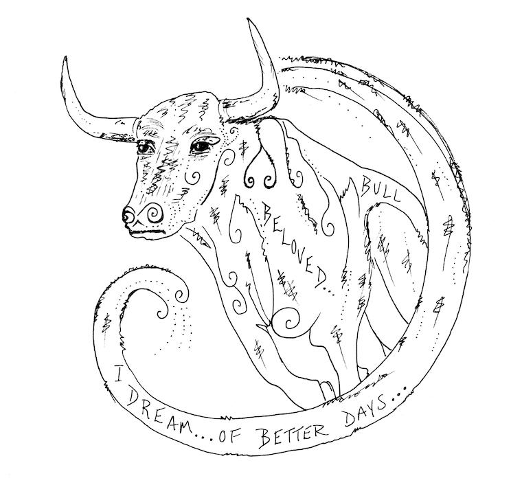 bull sketch