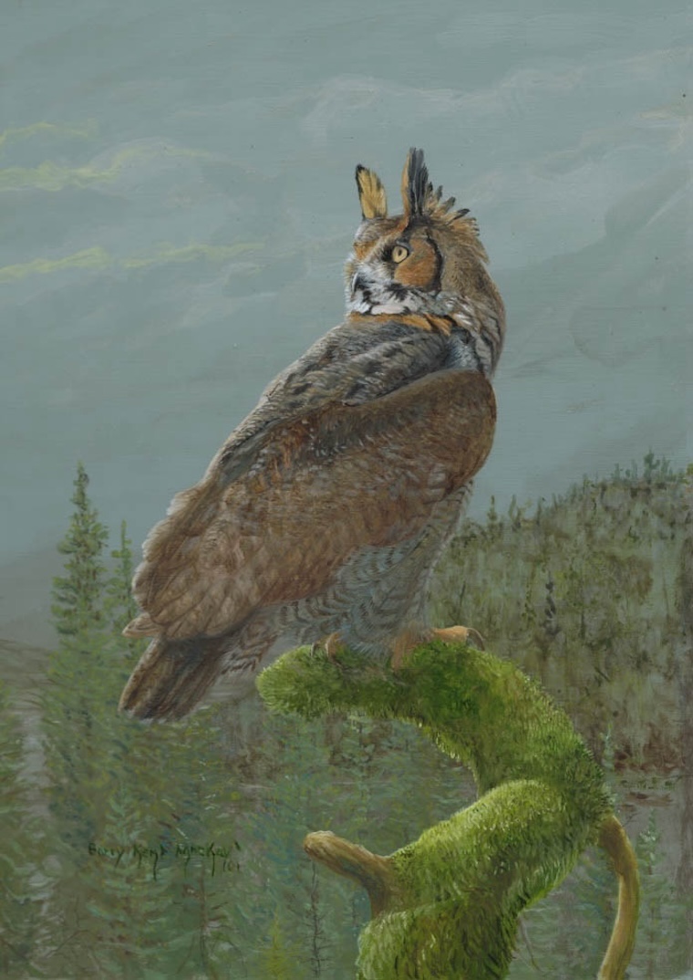 Great Horned Owl