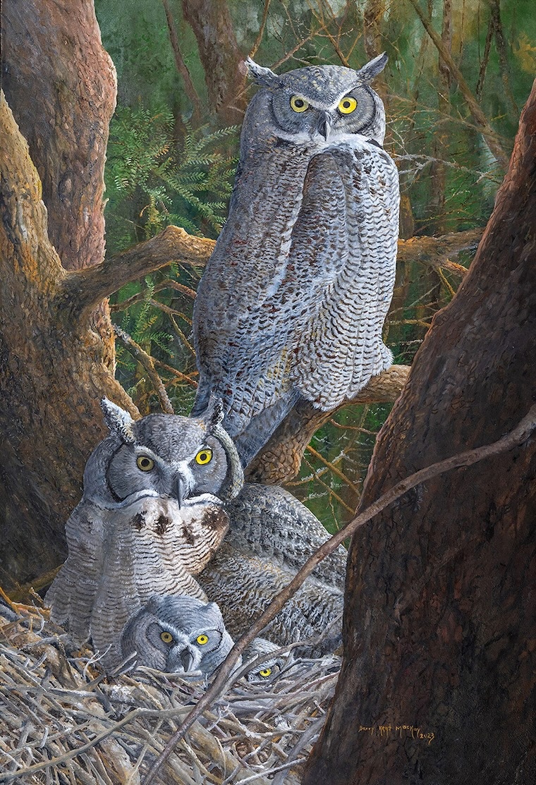 Great Horned Owl