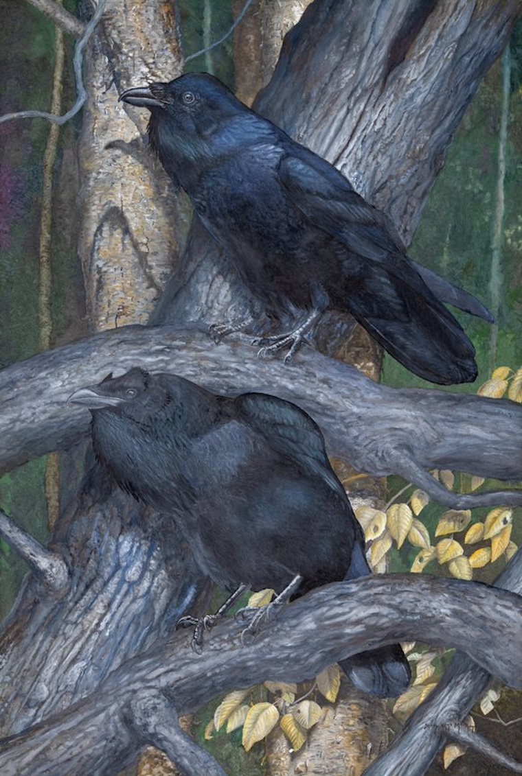 raven painting