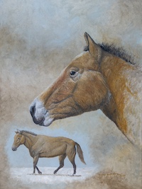 horse painting