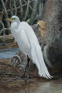 Artwork - 003 Great Egret
