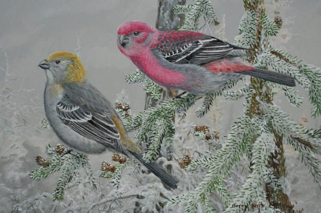 Pine Grosbeak