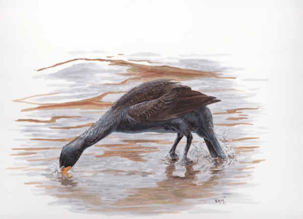 Barry Kent MacKay artwork cormorant