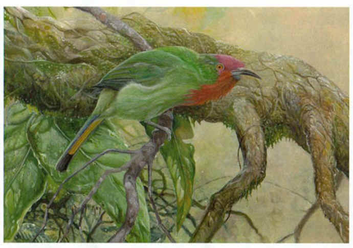 Barry Kent MacKay art