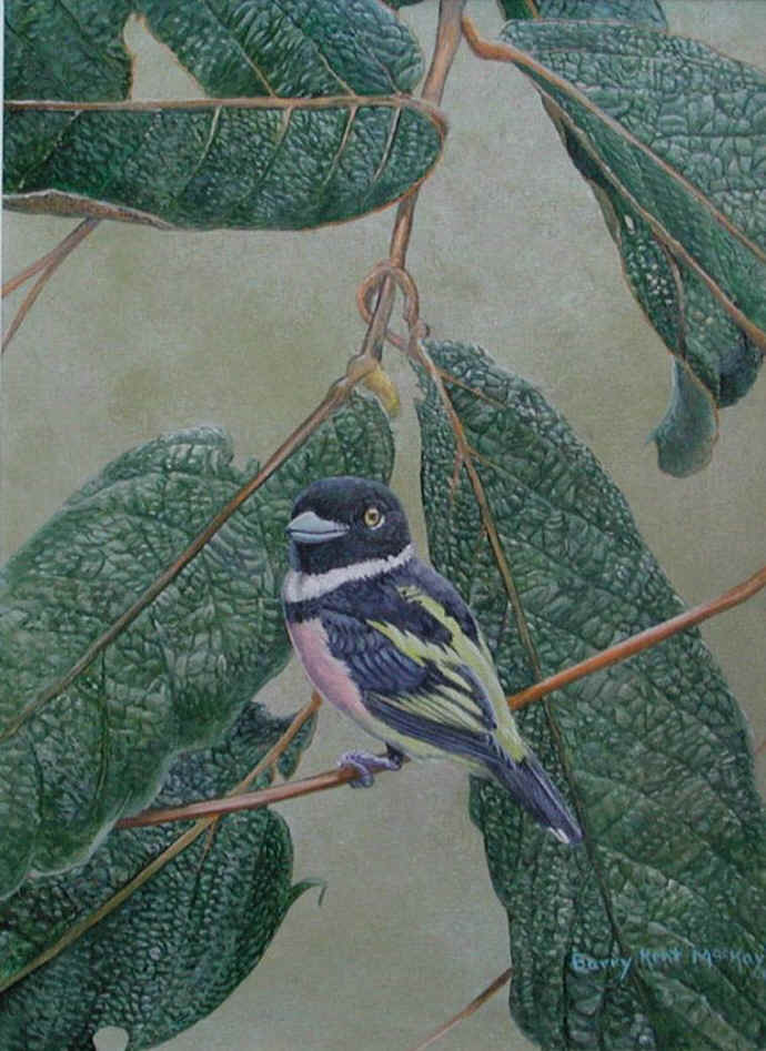 Barry Kent MacKay art