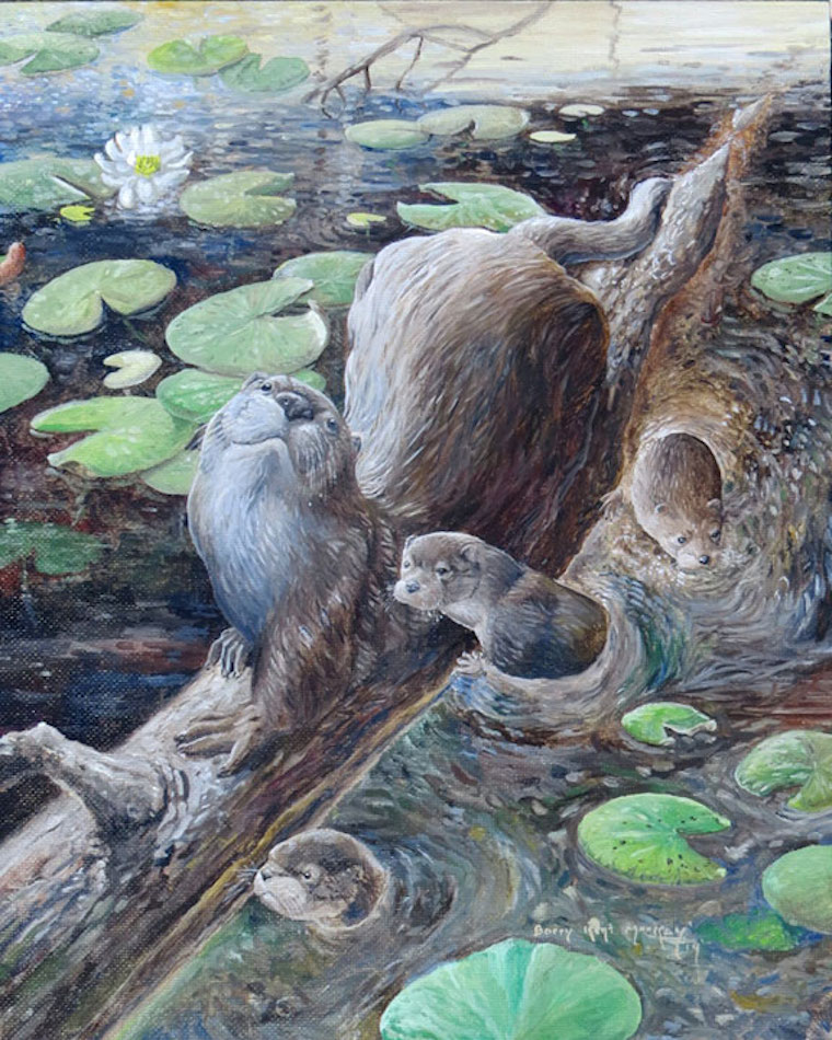 River Otter (Lontra canadensis)
