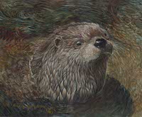 River Otter (Lontra canadensis)