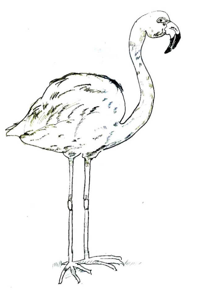 md-001