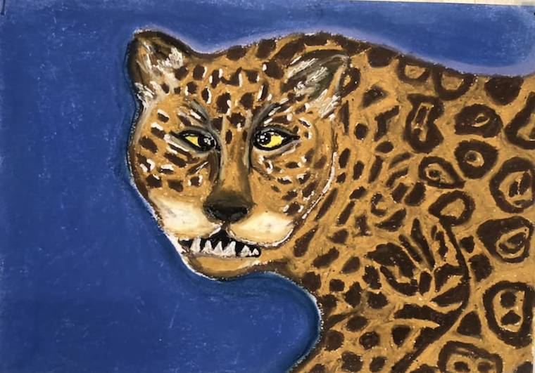 Tiger with Spots