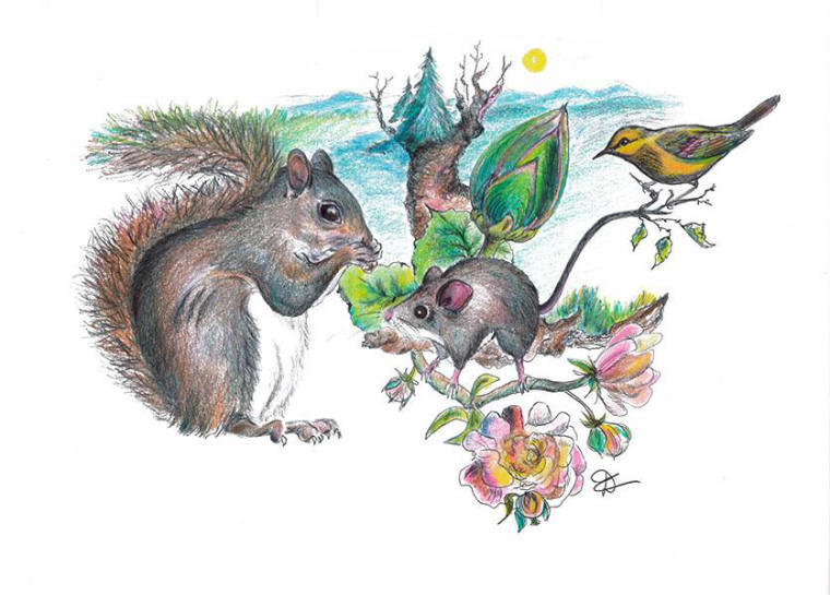 Artwork - Northern Wildlife
