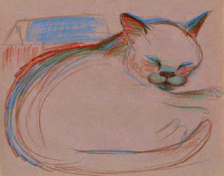Cats of Binzwagen - 10