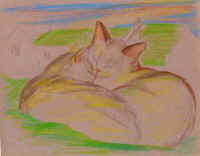 Sketch - Cats of Binzwagen - 11