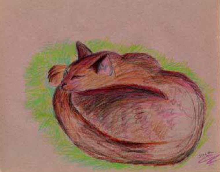 Cats of Binzwagen - 20