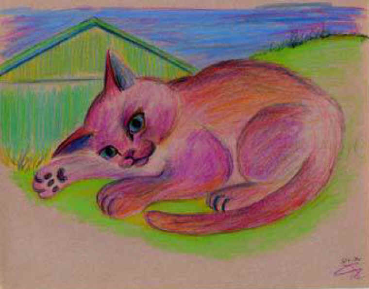 Cats of Binzwagen - 24