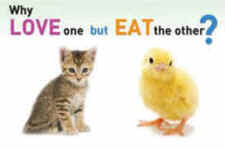 love one eat other
