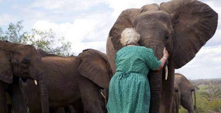 Daphne Sheldrick and elephants