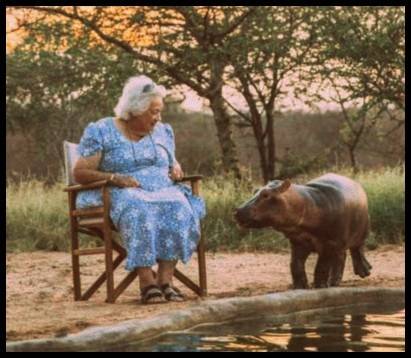 Daphne Sheldrick