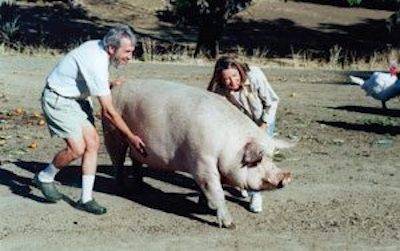 Ned and Kim and Pig