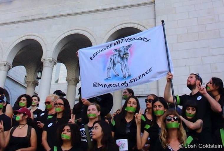 march of silence