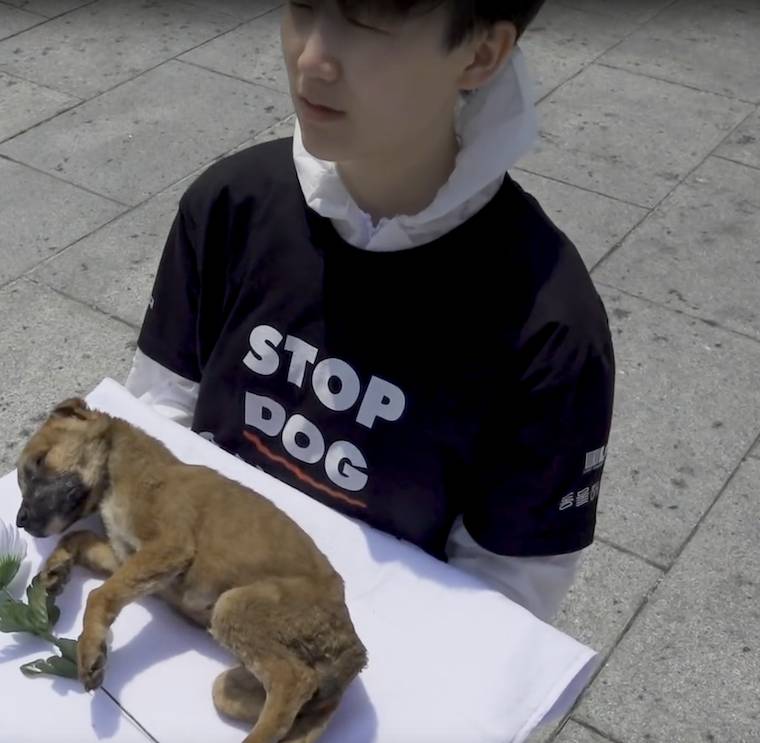 dog meat protest