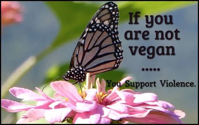 vegan meme