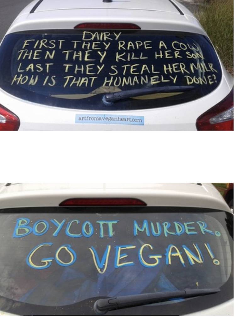 vegan message