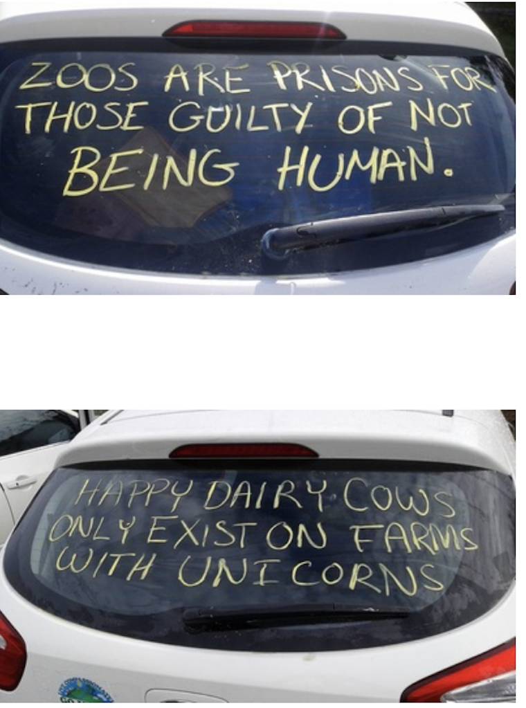 vegan message