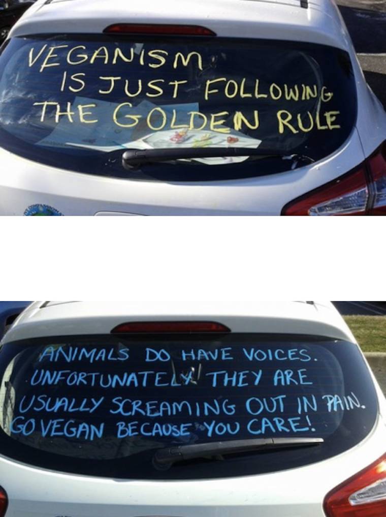 vegan message