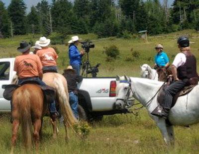 filming horses