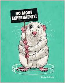 rat drawing