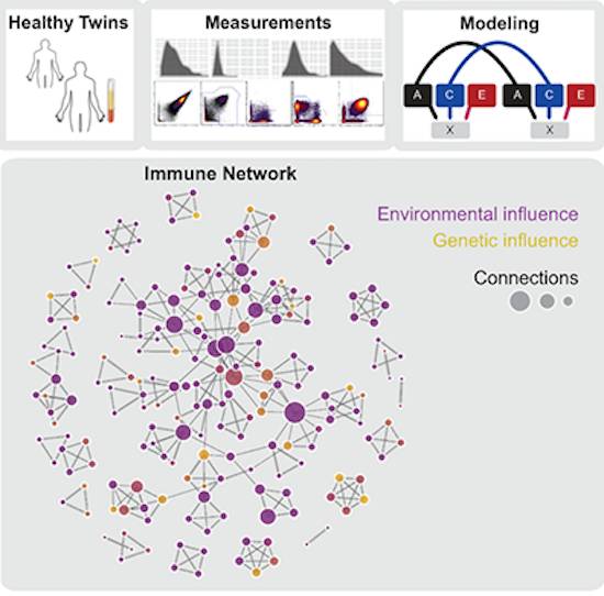 immunology as whole organ system