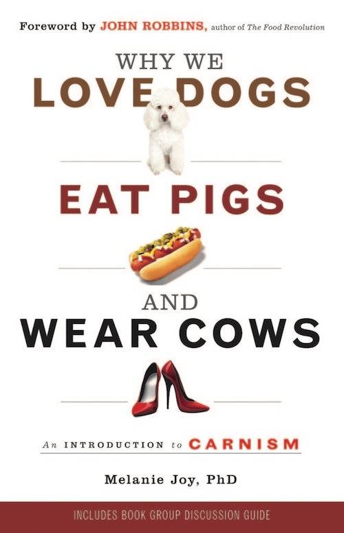 love dogs eat pigs