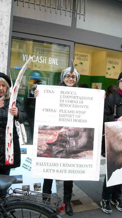 ivory elephant tusk Italian animal rights vatican