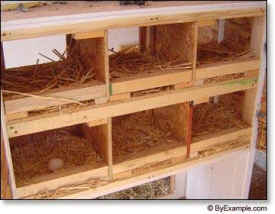chicken coop