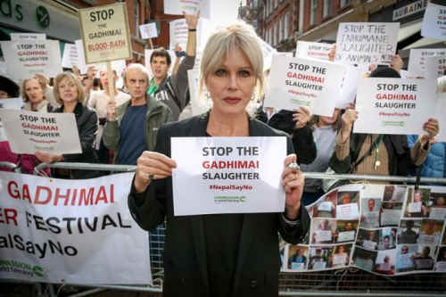 Gadhimai massacre