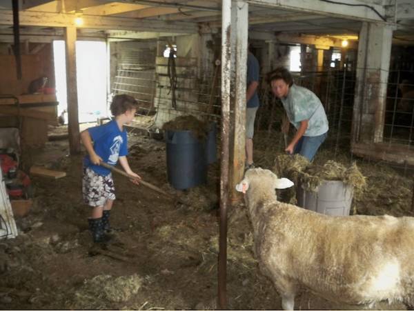 maggie's farm