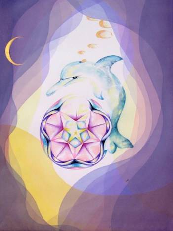 dolphin madeleine tuttle